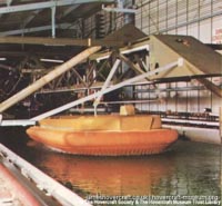 SRN4 early developmental days